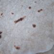 خبز الصاج