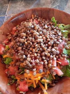 Una foto de Ensalada de lentejas