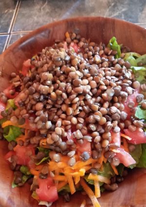Una foto de Ensalada de lentejas