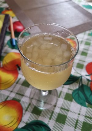 Una foto de Cubitos de Aloe Vera para agua y jugos