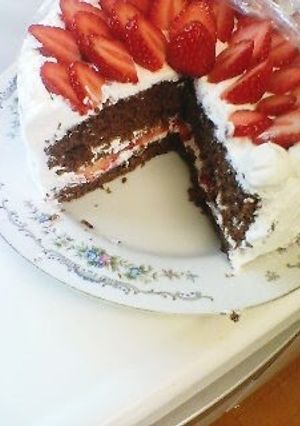 A picture of Moist and Fluffy Cocoa Sponge Cake.