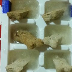 A picture of Pupsicles.