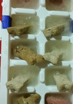 A picture of Pupsicles.