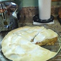 A picture of RHUBARB PIE.
