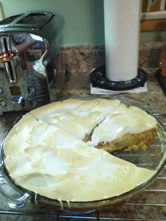 A picture of RHUBARB PIE.