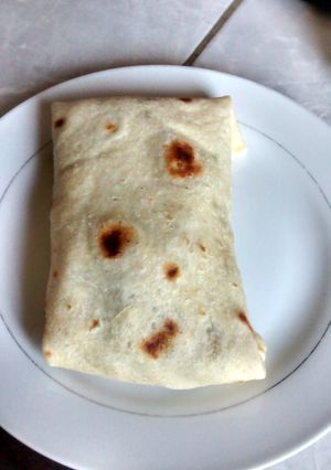 A picture of Roti (the shell).