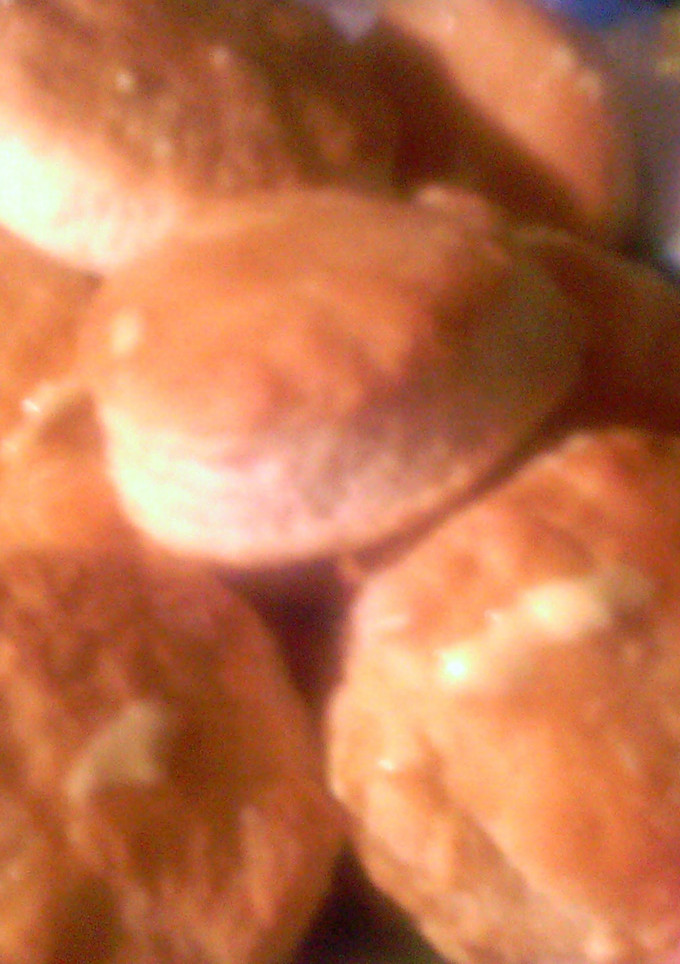 A picture of Sunshines processor biscuits.