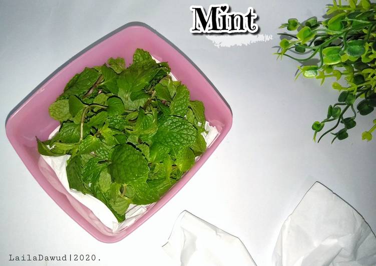 Resep Cara Menyimpan Daun Mint Anti Gagal