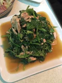 地瓜葉拌鮪魚-簡單料理 的食譜成品照片