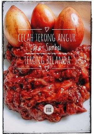 Foto resep Cecah Terong Angur aka Sambal Terong Belanda