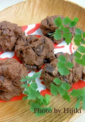 A picture of Crispy Cocoa & Chocolate Cookies.