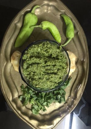 લીલી ચટણી (Green Chutney Recipe in Gujarati) રેસીપી મુખ્ય ફોટો