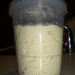 A picture of Bread (Sourdough) Starter.