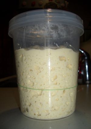A picture of Bread (Sourdough) Starter.