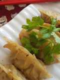 Gyoza
