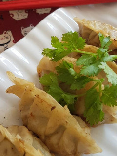 A picture of Gyoza.