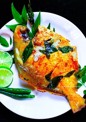 A picture of Pomfret fry.