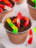 Dirt and Worms Cups