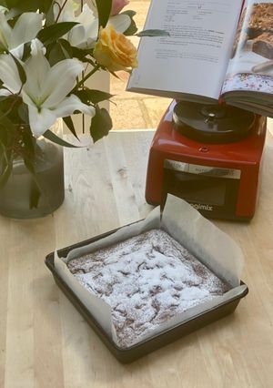 A picture of Brownies.