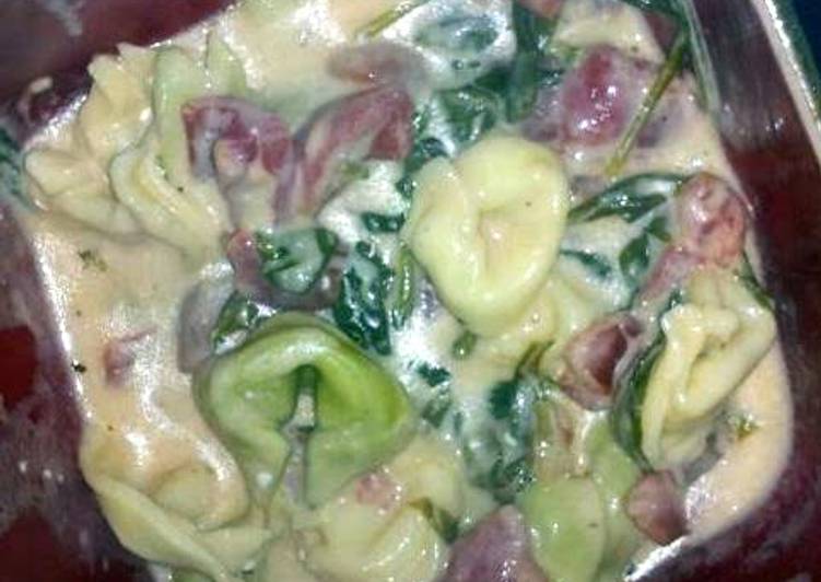 Simple Way to Make Creamy cheese tortellini