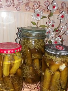 عکسی از دستور خیارشور