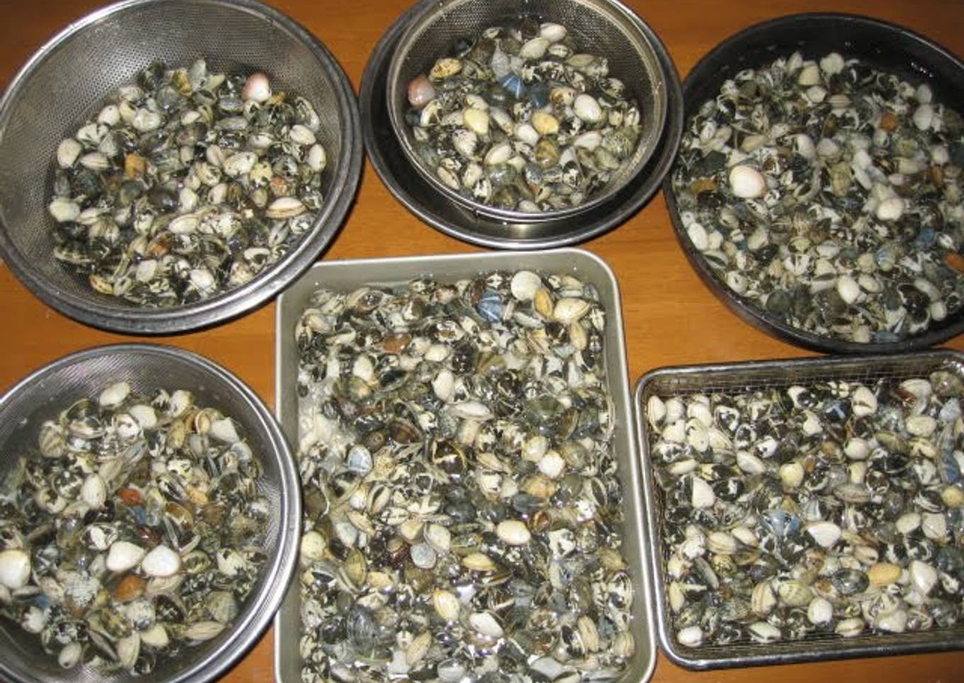 How to De-Sand and De-Salt Manila Clams