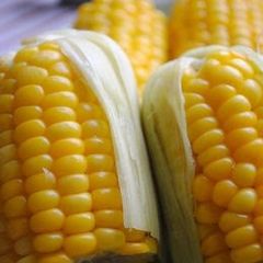 A picture of So Sweet! Steamed Corn on the Cob.
