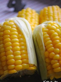 A picture of So Sweet! Steamed Corn on the Cob.