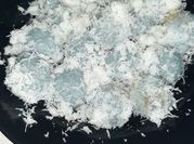 Gambar klepon bunga telang
