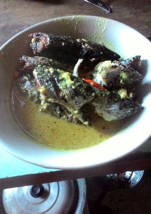 Foto resep Anak ikan tongkol kuah santan