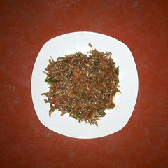 A picture of Fried Omena.