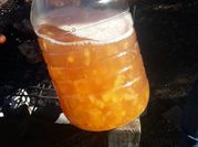 Una foto de papaya en conserva