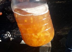Una foto de Ponche de Papaya de Cumbres