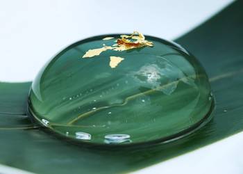 Easy Recipe Water Drop Shingen Mochi Delicious Nutritious