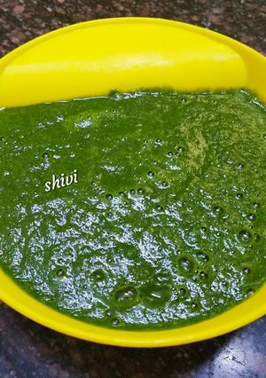 A picture of Coriander chutney.