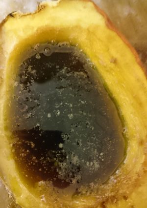 A picture of Butternut Squash Sweet Tooth.