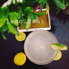 A picture of Lemo Pani.