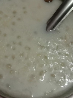 ஜவ்வரிசி பாயாசம்(javvarisi payasam recipe in tamil) செய்முறை முக்கிய புகைப்படம்
