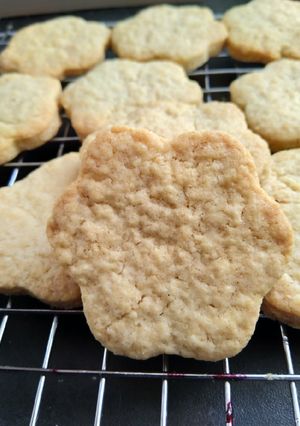 Une photo de Biscuit sable