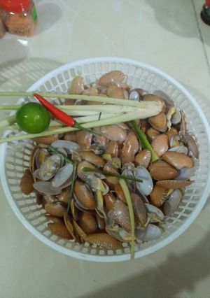 Hình của món Sò lụa xanh luộc sả.