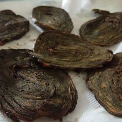 A picture of Patra.