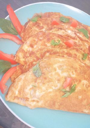 A picture of Fusion Omelette.