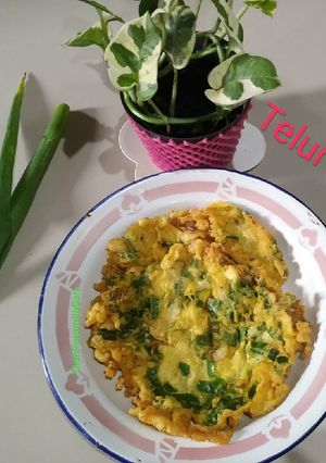 Foto resep Telur Dadar