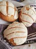 Conchas