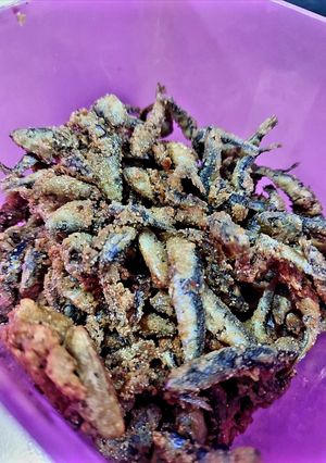 Foto resep Ikan Teri Goreng