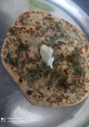 A picture of Palak Paratha.