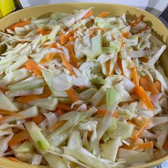 A picture of Apple coleslaw.