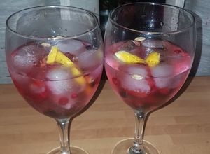 Una foto de Gin tonic "aliñado"