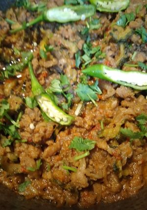 A picture of Karela qeema.
