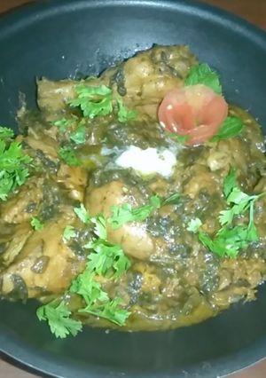 A picture of Desi palak gosht (Palak chicken).